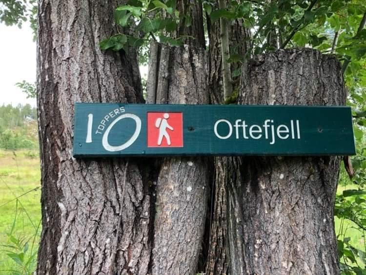 Sjarmerende Overnatting Sentralt I Vest-Telemark Hoydalsmo Εξωτερικό φωτογραφία